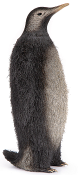 Скульптура Rhyton Furry 3020029 Пингвин 16×14 см 