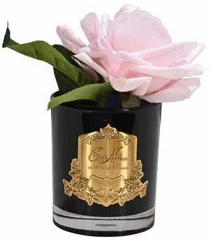 Аромат для интерьера Cote Noire French Roses GMRB06 Ароматизированная роза, 1 спрей 11×16 см 10 мл 